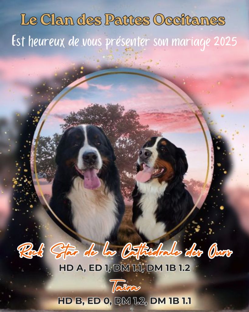 Mariage 2025 - Confirmation gestation