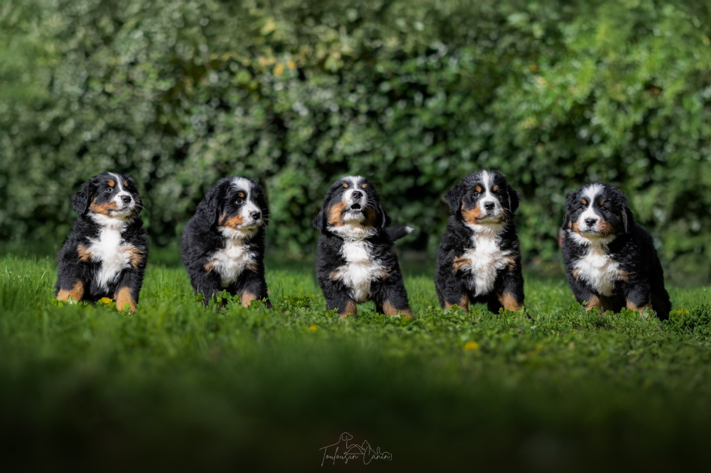 Tous nos bébés ont trouvés leurs familles !