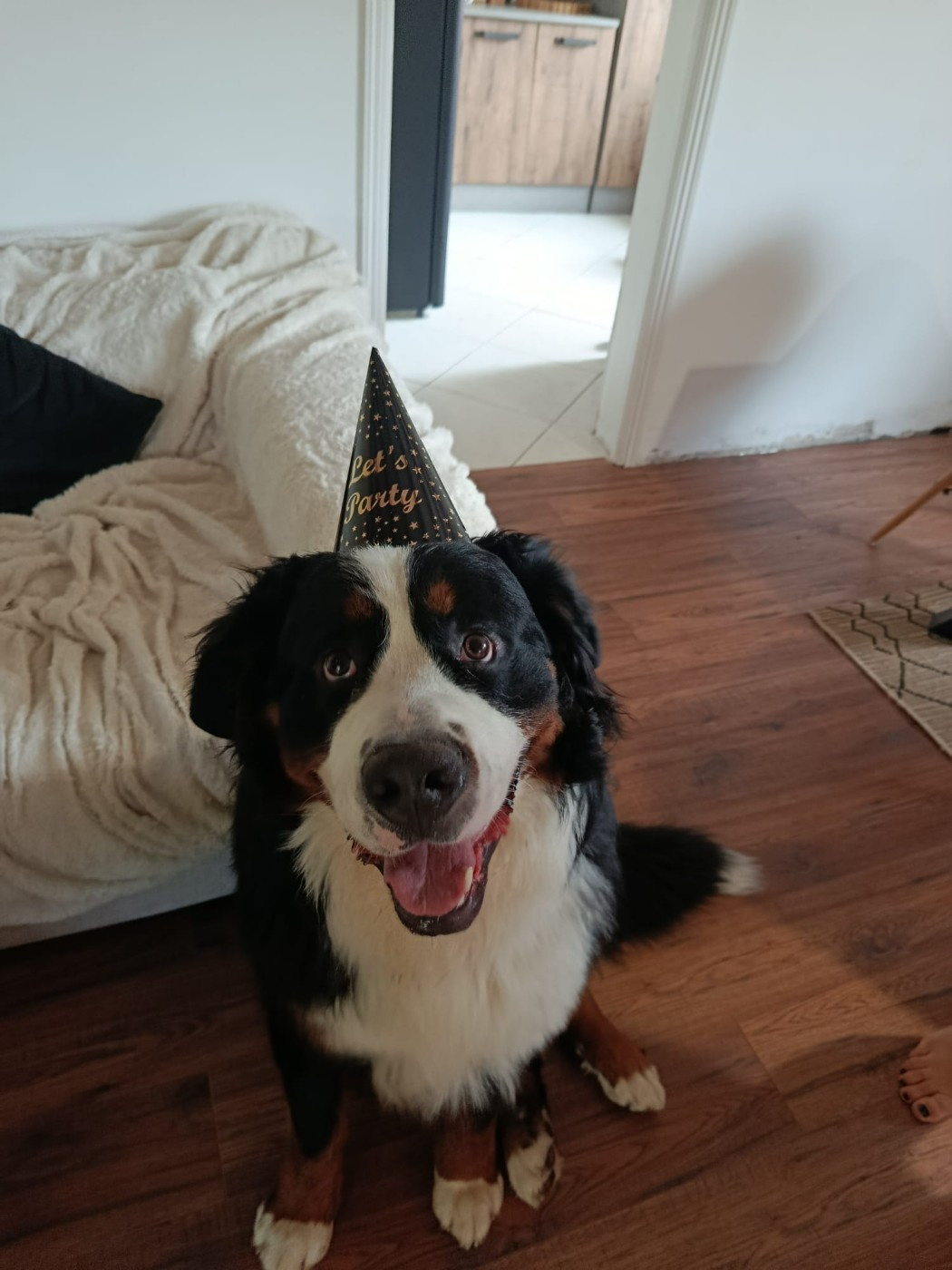 Nos bébés 2024 "V" ont fêté leurs 2 ans !